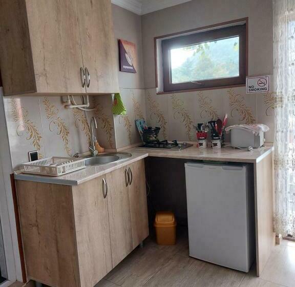 استودیوی استاندارد, Guesthouse Saba