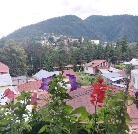 اتاق استاندارد سه نفره, Guesthouse Saba