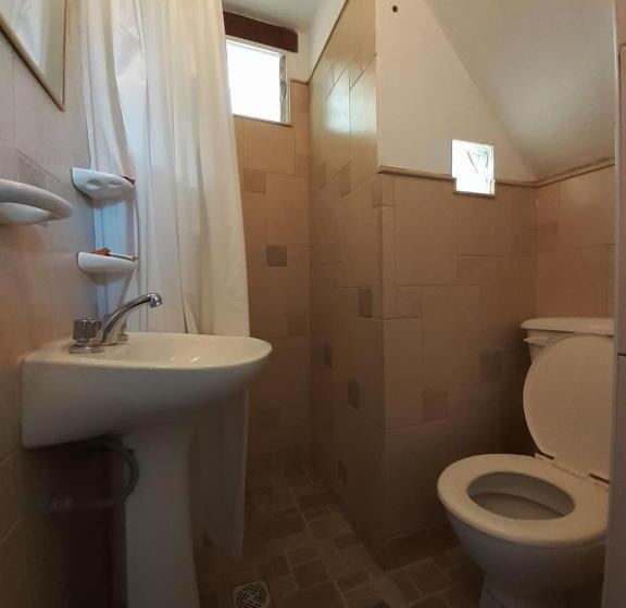 스탠다드 룸, La Casa De Violeta