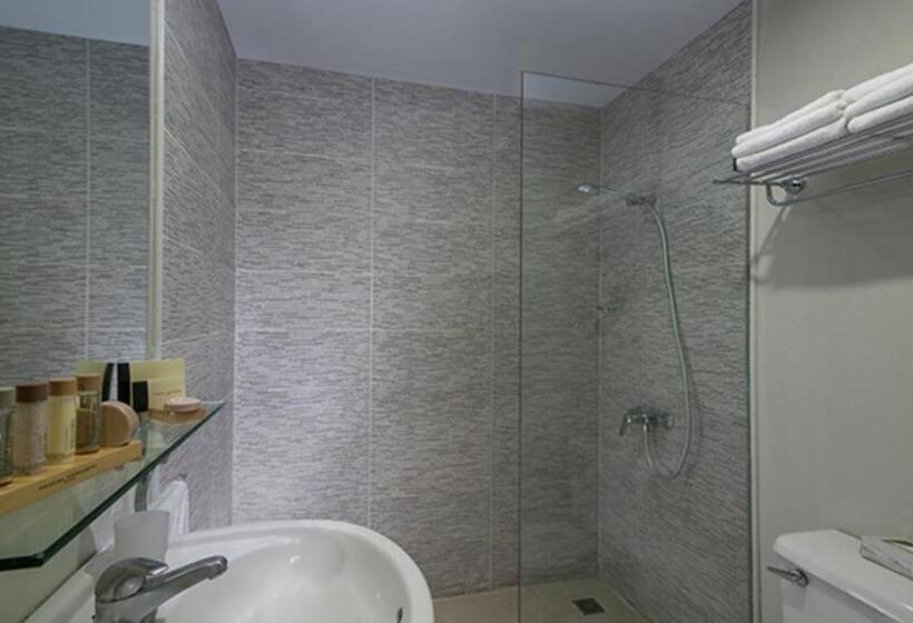 이그제큐티브 룸, Hodelpa Caribe Colonial