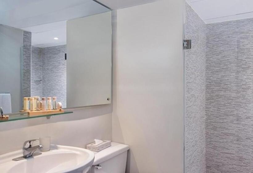 エクゼクティブルーム, Hodelpa Caribe Colonial