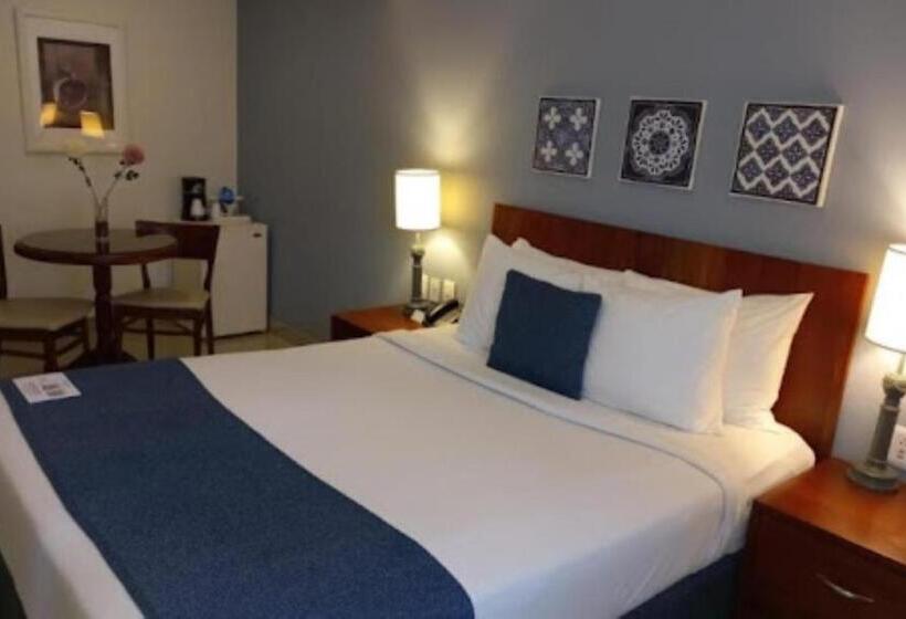 이그제큐티브 룸, Hodelpa Caribe Colonial