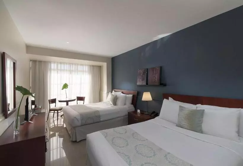 اتاق رویال, Hodelpa Caribe Colonial