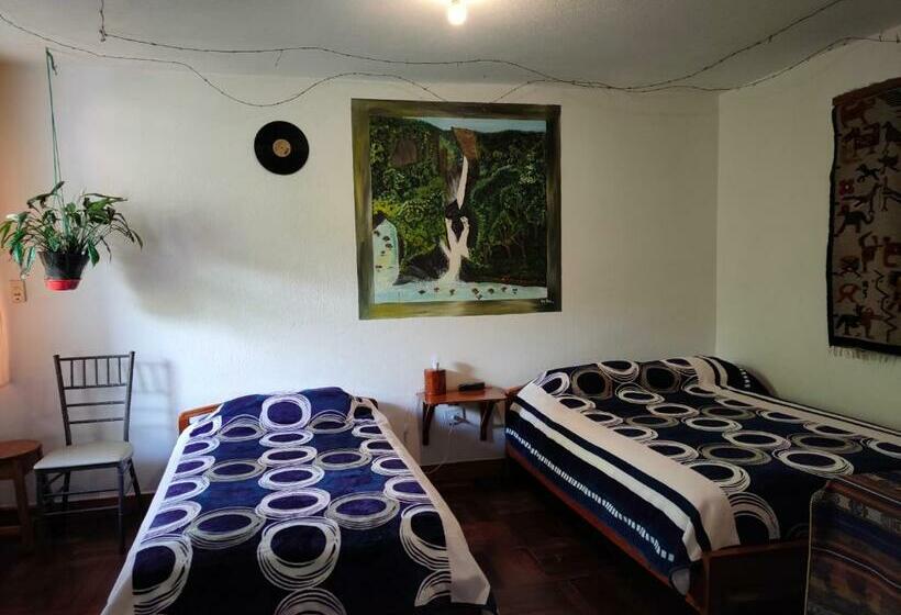 标准间, Hostal Chimenea