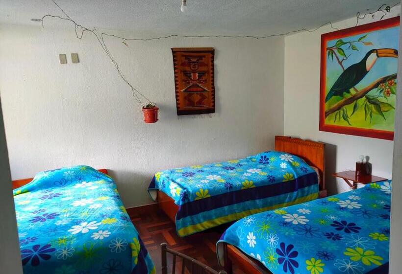 标准三人间, Hostal Chimenea