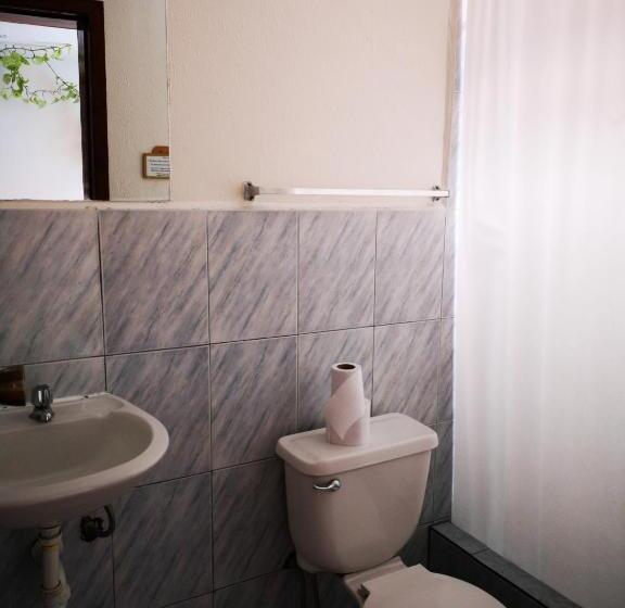 스탠다드 싱글 룸, Hostal Chimenea