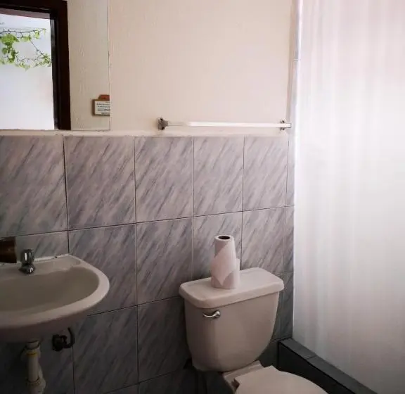 スタンダードシングルルーム, Hostal Chimenea
