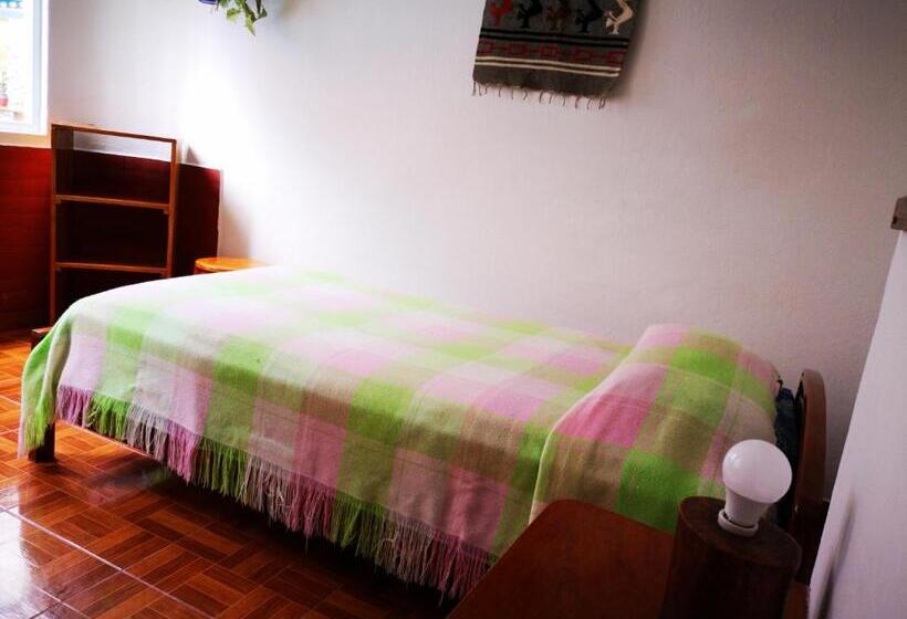 标准单人间, Hostal Chimenea