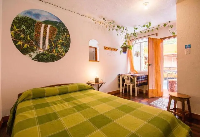 スタンダードシングルルーム, Hostal Chimenea