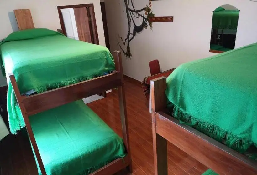 ルームシェアのワンベッド, Hostal Chimenea