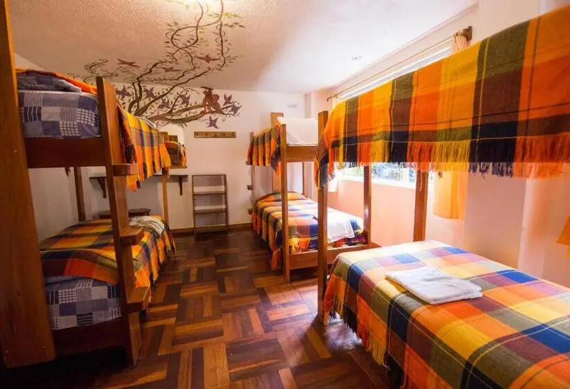 ルームシェアのワンベッド, Hostal Chimenea