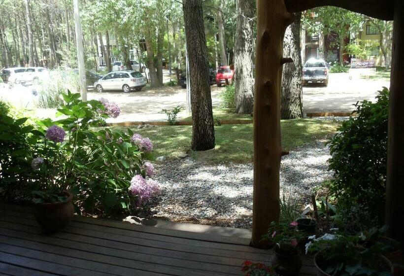 اتاق استاندارد, Patagonia Playa Suites
