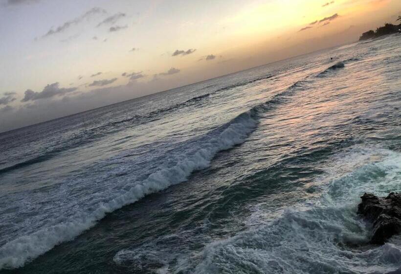 آپارتمان 1 خوابه همکف, Brownes Condominium 1