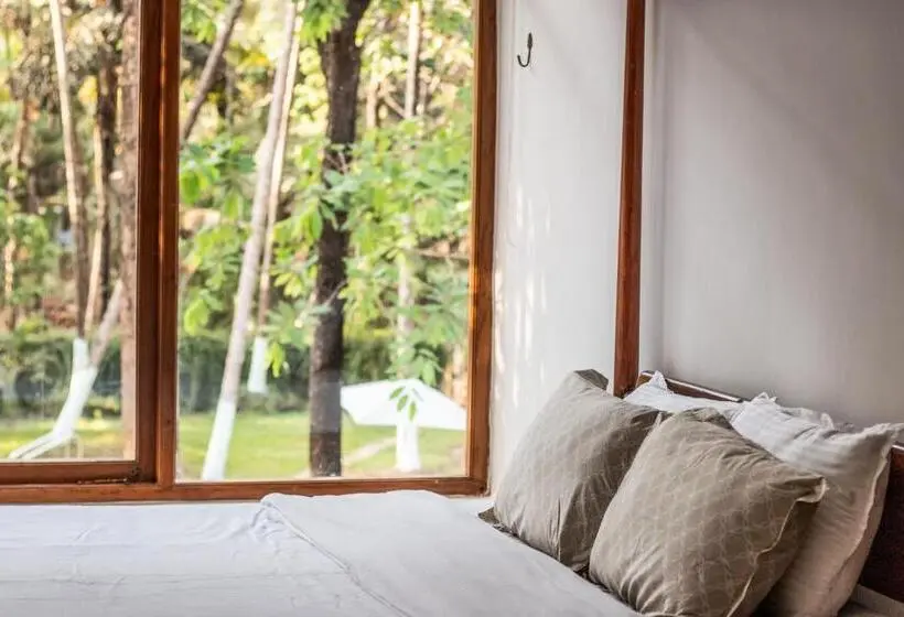 Appartement 1 Chambre Vue Piscine, Botanique Goa
