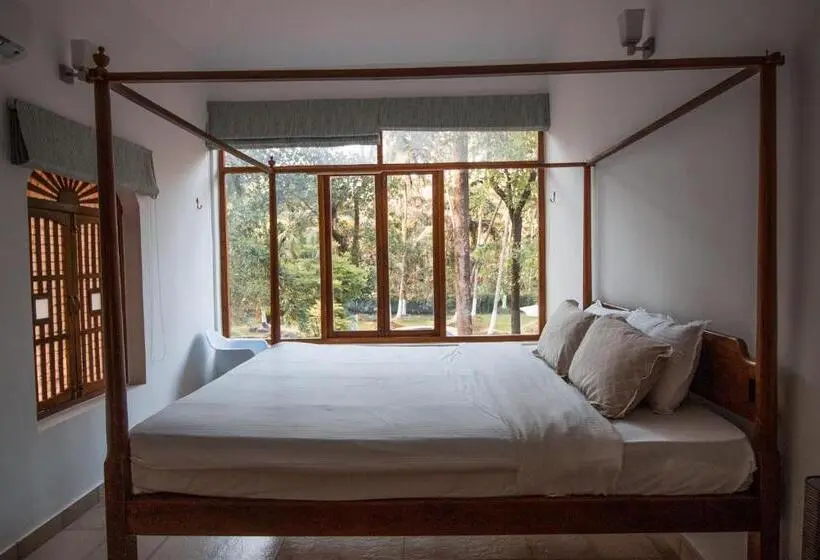 Appartement 1 Chambre Vue Piscine, Botanique Goa