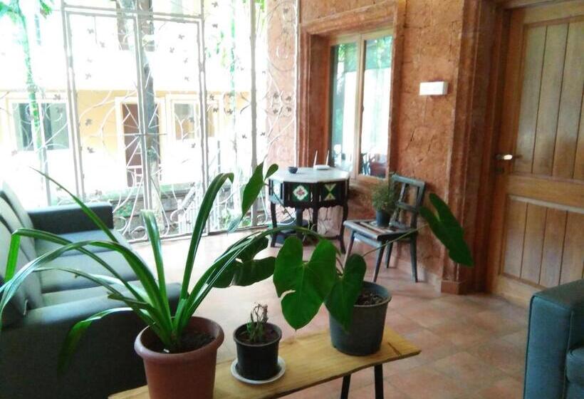 דירת חדר, Botanique Goa