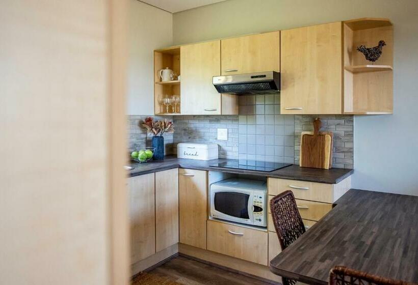 اتاق استاندارد با تراس, Felsenblick Self Catering