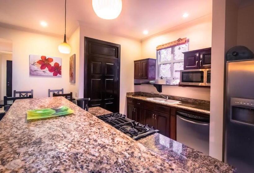 Апартаменты 1 Спальня Вид на Море, Surf Inn Hermosa
