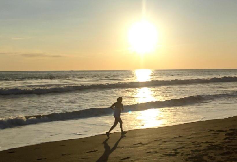 إستوديو قياسى, Surf Inn Hermosa