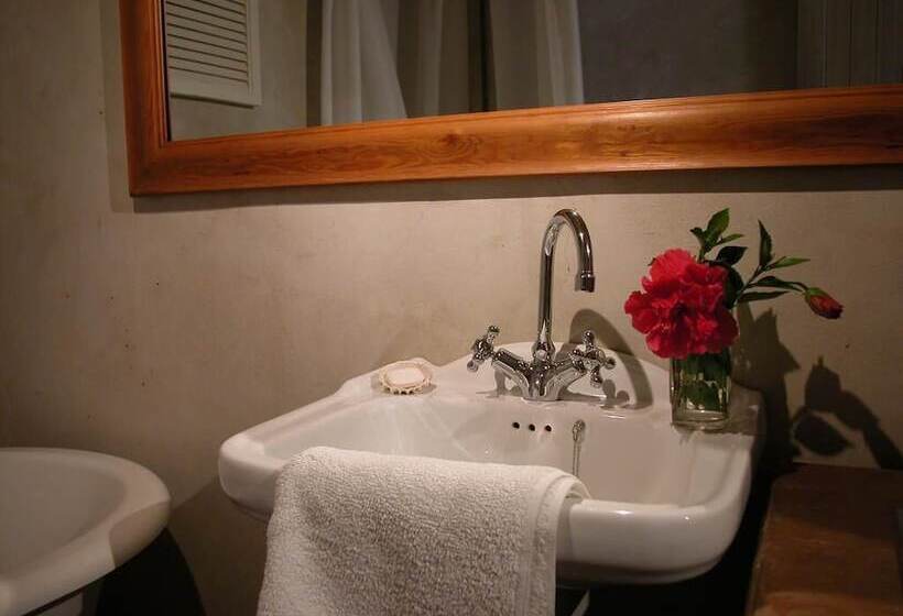 اتاق استاندارد با تراس, Cheviot Place Guest House
