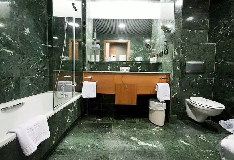 اتاق استاندارد یک نفره, Gran Hotel Lakua