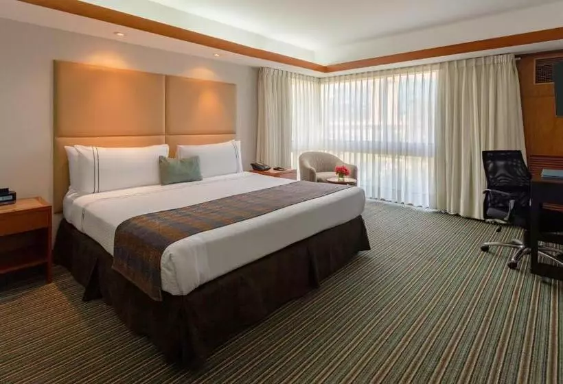 اتاق اجرایی با تخت بزرگ, Sonesta Hotel El Olivar