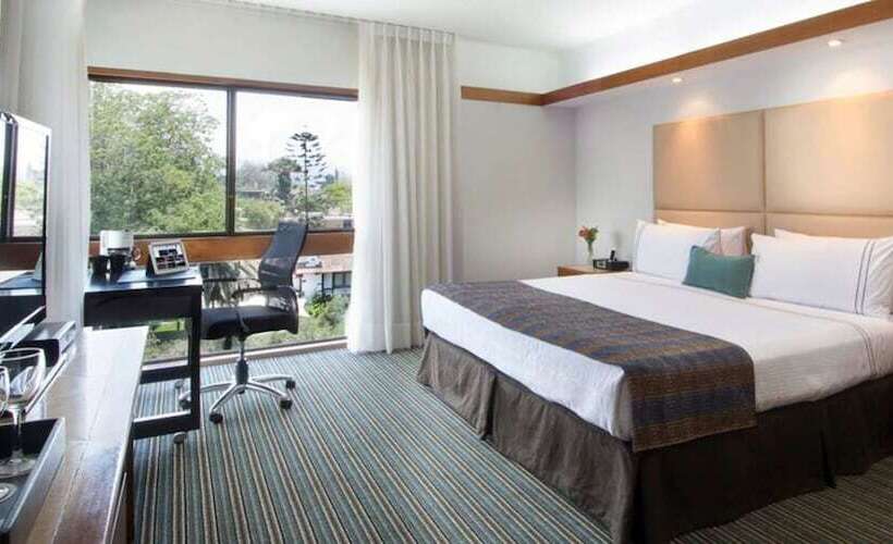 Номер Executive, Sonesta Hotel El Olivar