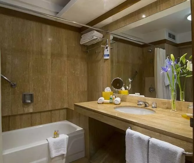 اتاق اجرایی, Sonesta Hotel El Olivar