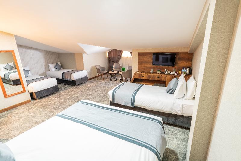 اتاق استاندارد, Vertice Sevilla