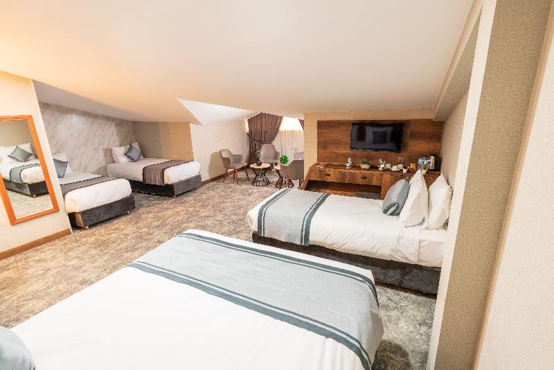 اتاق استاندارد, Vertice Sevilla