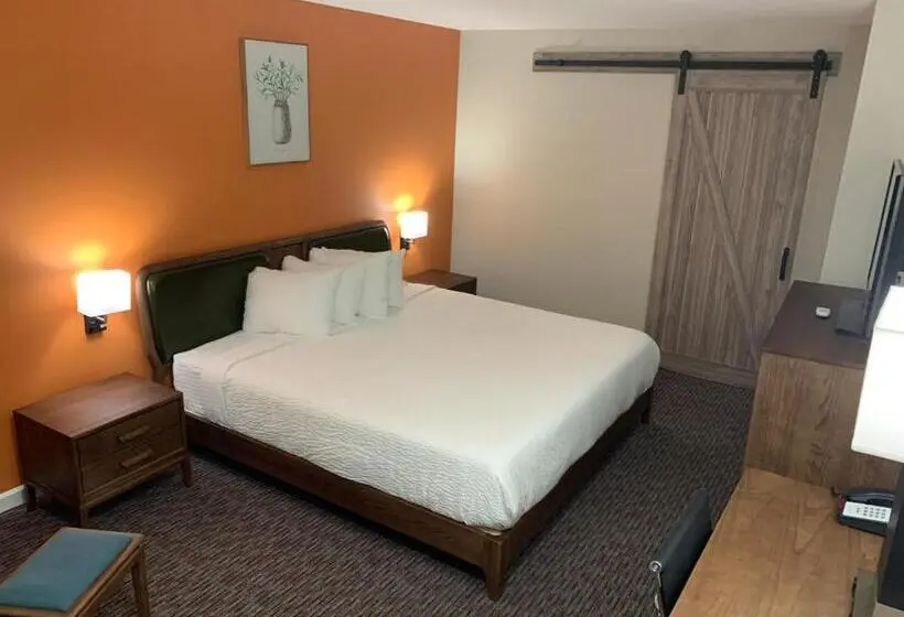 身障者適用キングサイズベッドルーム, Urban Boutique Hotel; Bw Signature Collection