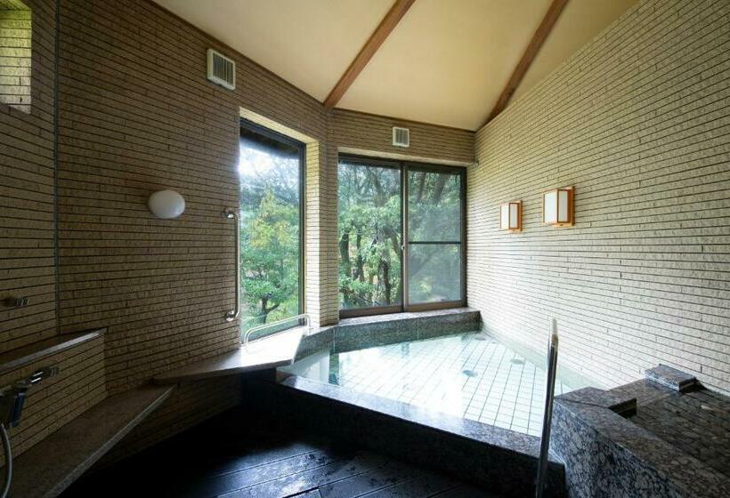 غرفة سوبيريور, Matsunaga Rokkan Fujiya