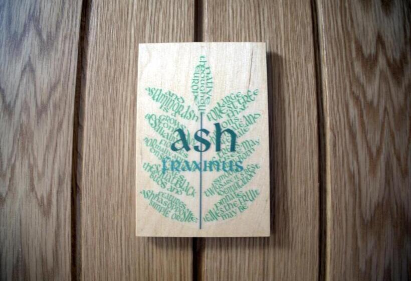 Номер Стандарт, The Sanctuary Cornwall