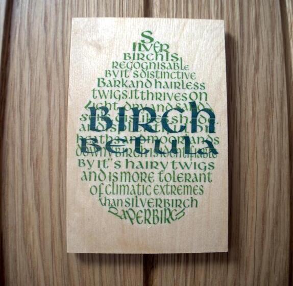 Номер Superior, The Sanctuary Cornwall