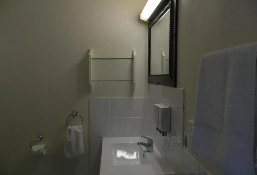 اتاق استاندارد با تخت دو نفره بزرگ, Coachman Motel