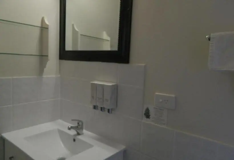 اتاق استاندارد با تخت دو نفره بزرگ, Coachman Motel