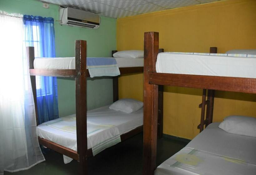Кровать в Общей Комнате, Hostal Green Coast   Hostel
