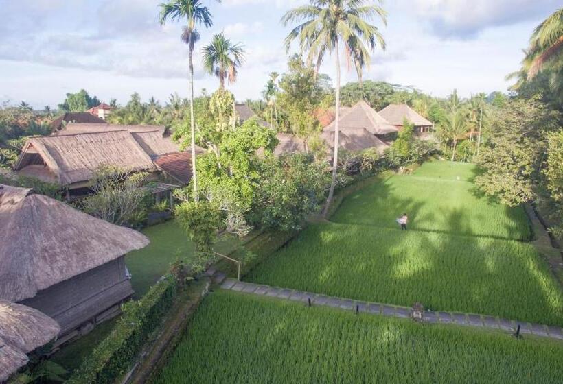 חדר דלוקס עם נוף, Ananda Ubud Resort
