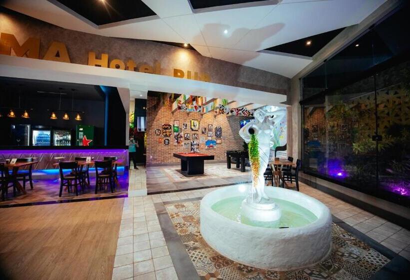 דירת חדר בקומת קרקע, Roma