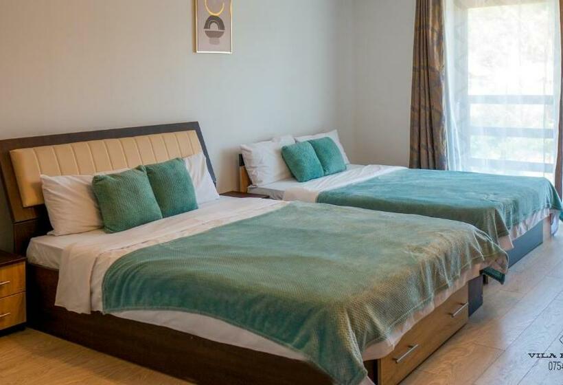 Номер Стандарт Совместная Ванная, Casa Popescu