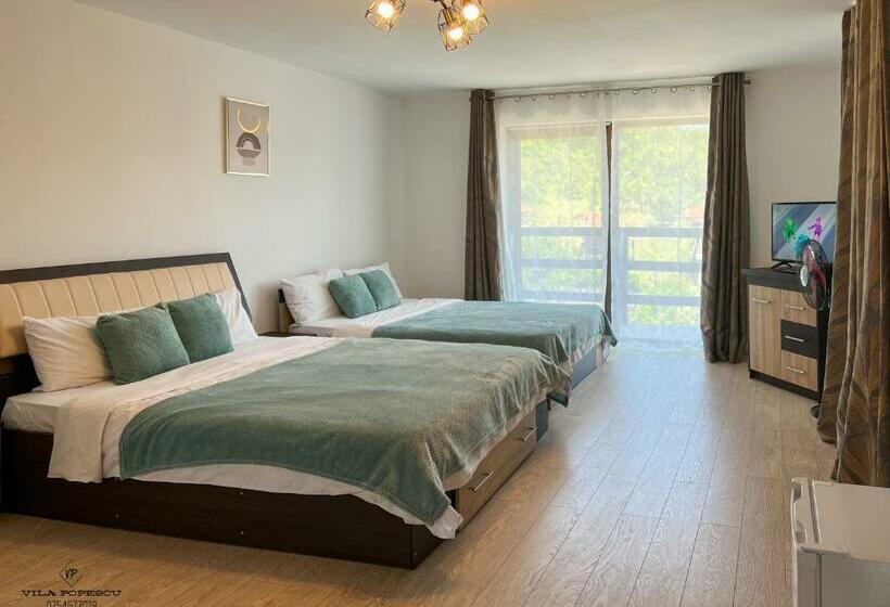 Номер Стандарт Совместная Ванная, Casa Popescu