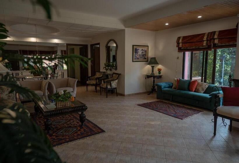 سوئیت با تخت بزرگ, Maisonette Firhill Resort