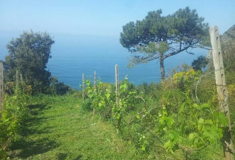 اتاق استاندارد, Apartment Camere Cinque Terre Andrea