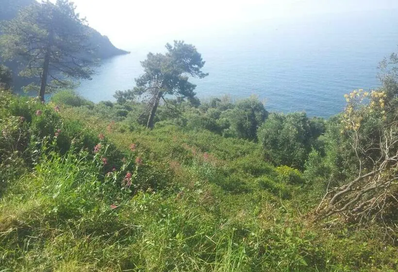 اتاق استاندارد, Apartment Camere Cinque Terre Andrea
