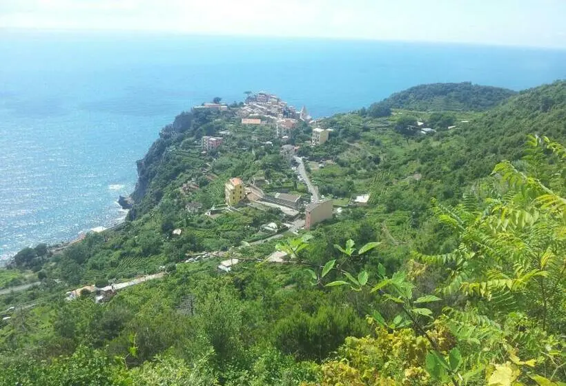 اتاق استاندارد, Apartment Camere Cinque Terre Andrea