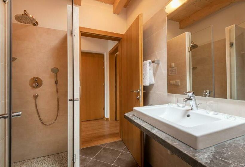 带1个卧室的高级公寓, Residence Viktoria