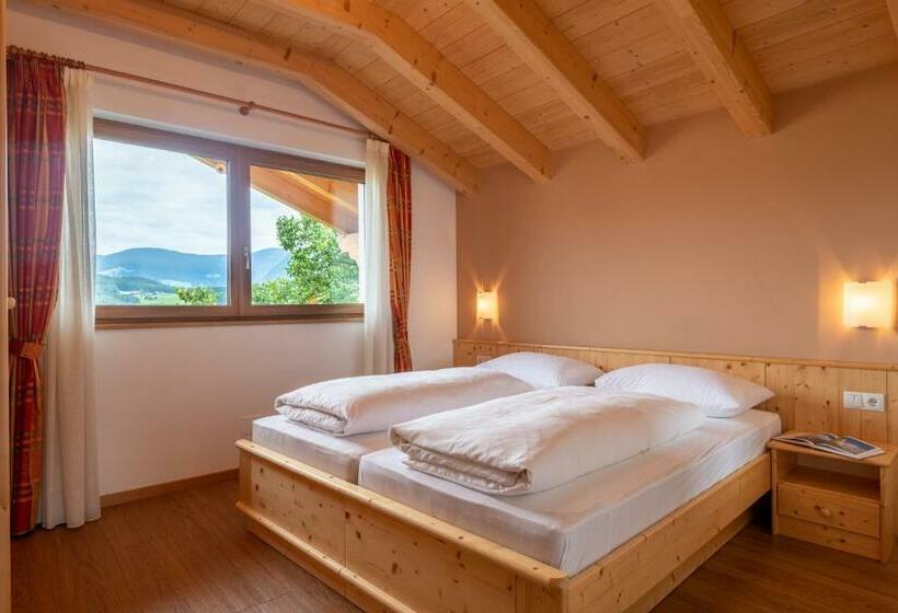 带1个卧室的高级公寓, Residence Viktoria