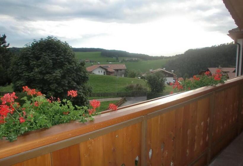 آپارتمان سوپریور 2 خوابه, Residence Viktoria