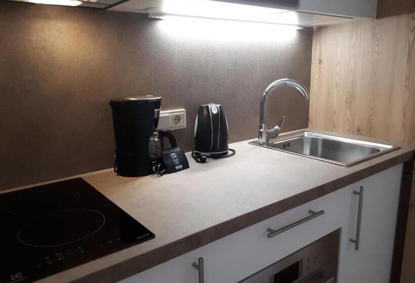 带1个卧室带观景的公寓, Residence Viktoria