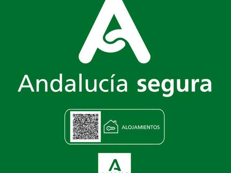 اتاق استاندارد, Ribera De Triana Reopening!